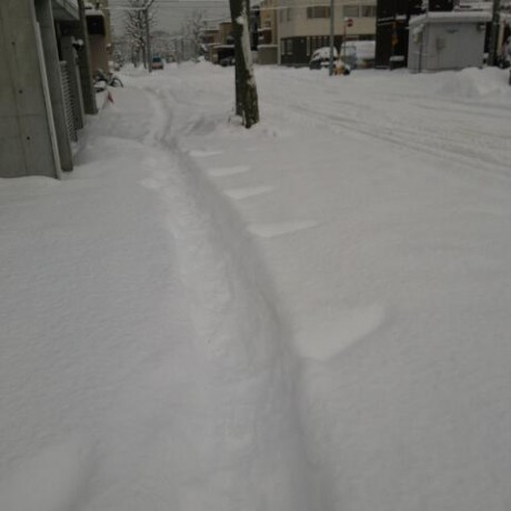 雪の舗道
